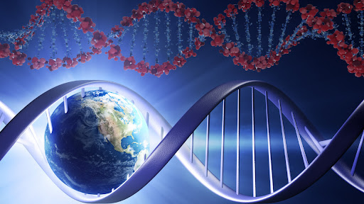 Biohacking Protocols Sharing Platform