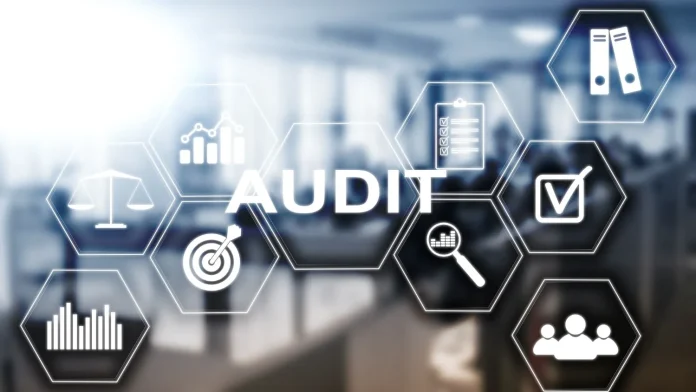 Audit Firm